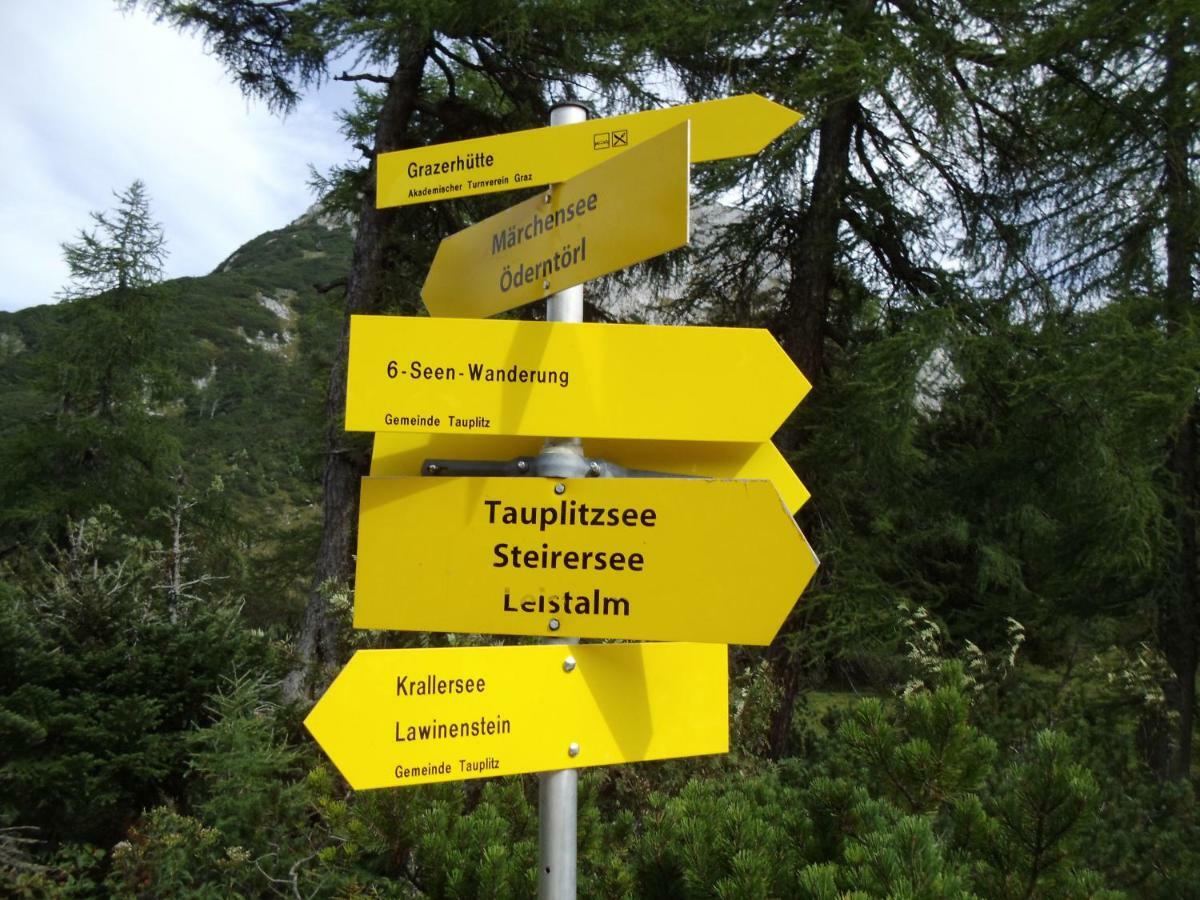 Weideblick Apartman Tauplitz Kültér fotó