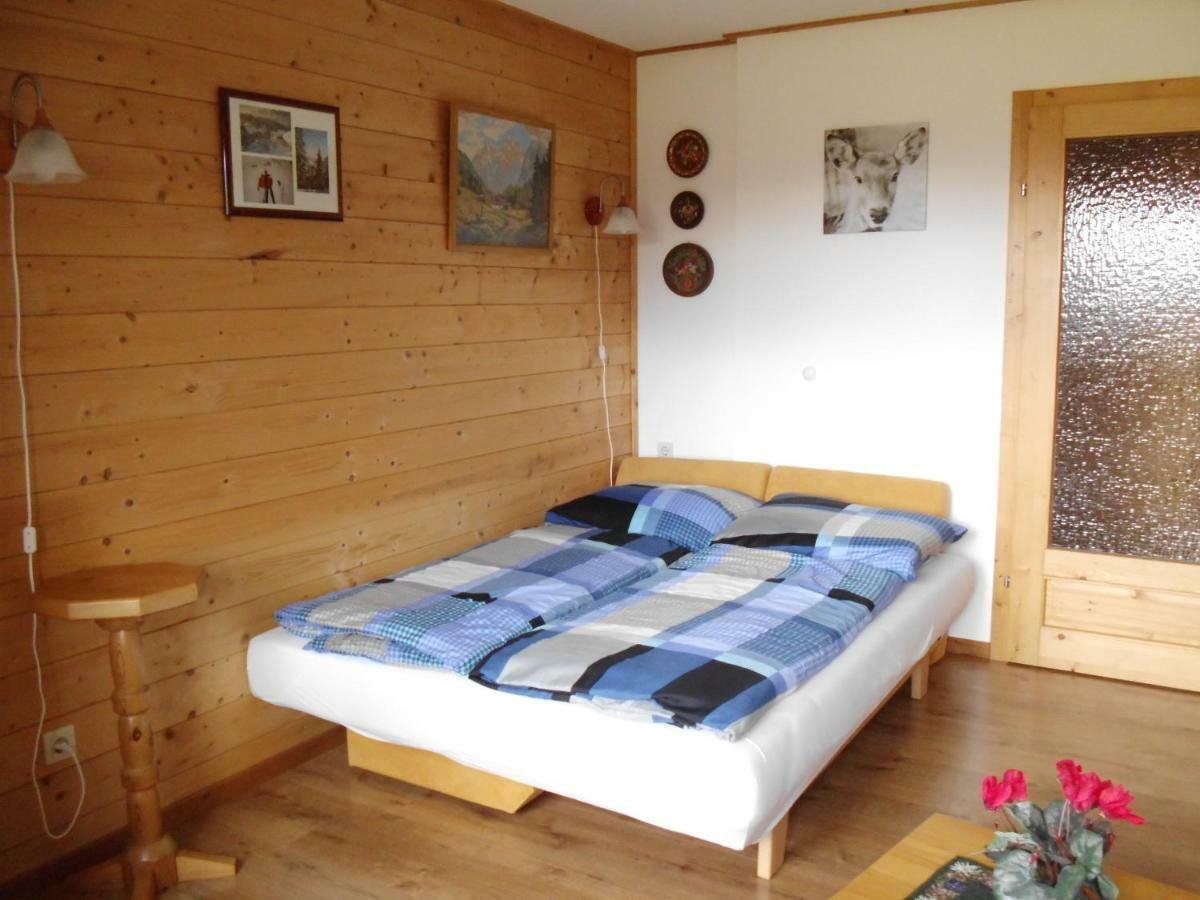 Weideblick Apartman Tauplitz Kültér fotó